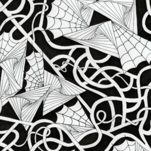 Spider Webs n Things